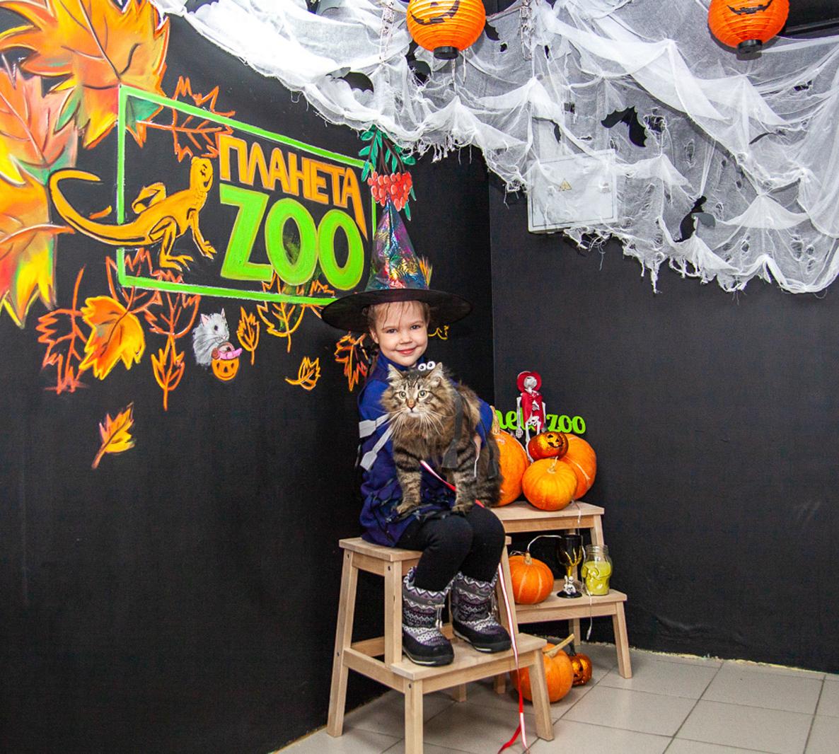 Праздничное ZOO-Открытие