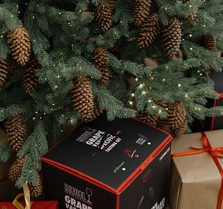 Эксклюзив с австрийским акцентом